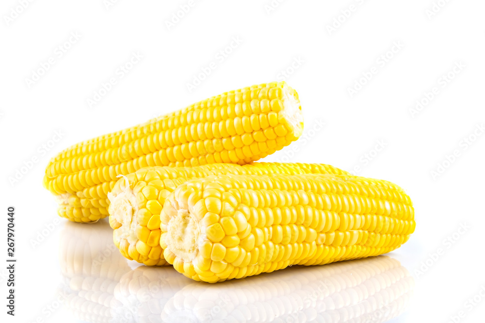fresh raw sweet corn on the cob kernels over white background fresh raw sweet corn on the cob kernels over white background