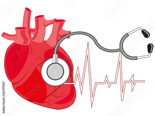 Heart of the person and medical instrument stethoscope