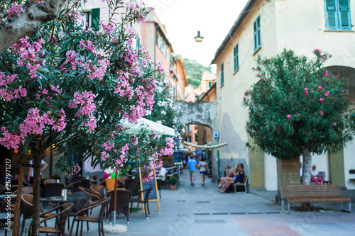 Fototapeta Naklejka Na Ścianę i Meble -  Old beautiful empty narrow streets in small city of Monterosso