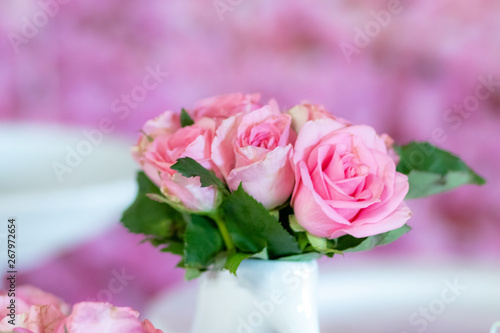 flor rosa c  r-de-rosa