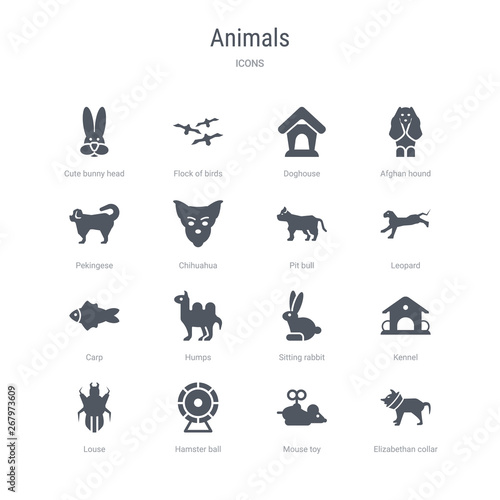 set of 16 vector icons such as elizabethan collar  mouse toy  hamster ball  louse  kennel  sitting rabbit  humps  carp from animals concept. can be used for web  logo  ui u002fux