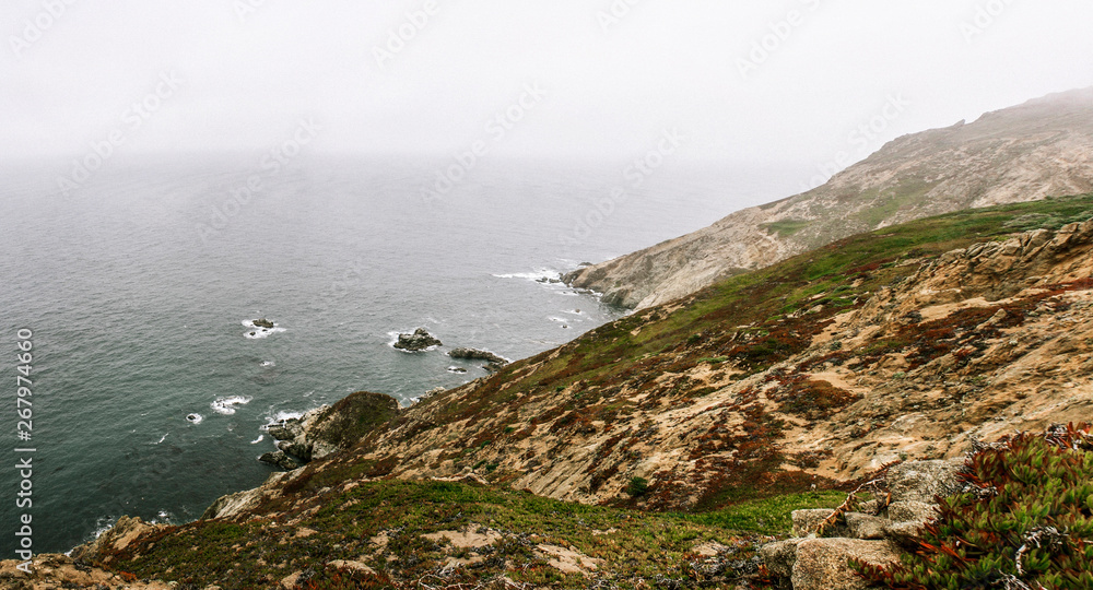Obraz premium Point Reyes National Seashore in California in Summer