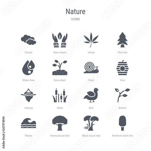set of 16 vector icons such as american larch tree, black locust tree, honey-locust tree, waves, branch, bird, reed, iceberg from nature concept. can be used for web, logo, ui\u002fux
