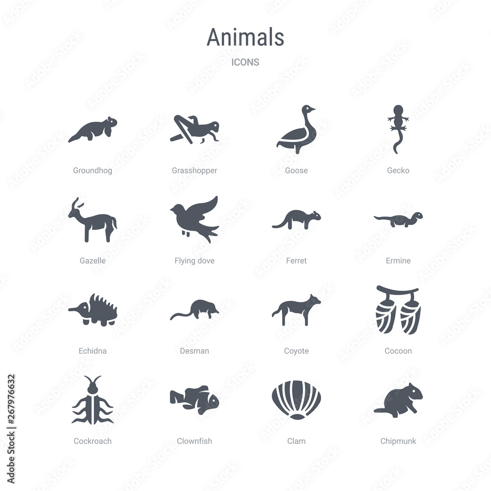 set of 16 vector icons such as chipmunk, clam, clownfish, cockroach, cocoon, coyote, desman, echidna from animals concept. can be used for web, logo, ui\u002fux