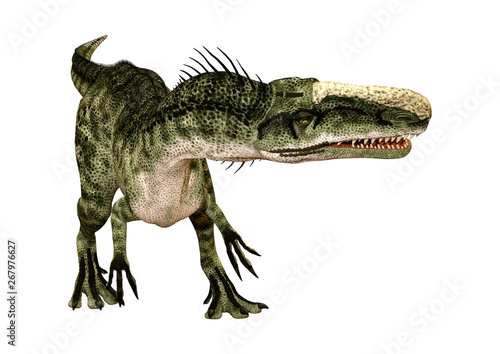 3D Rendering Dinosaur Monolophosaurus on White © photosvac