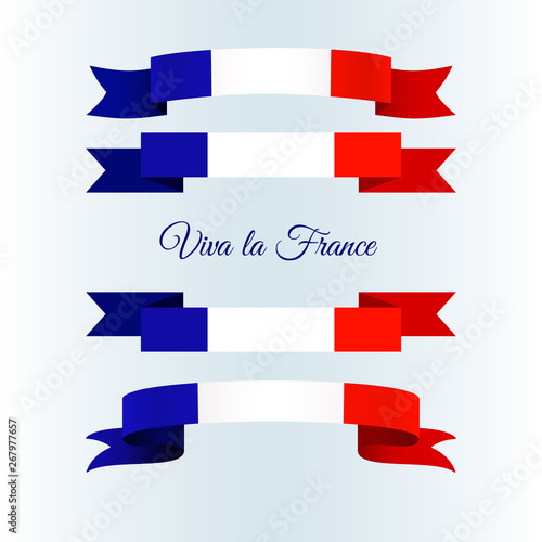 Ribbon icons flag of France on a light background Set Brochure banner layout with wavy lines of French flag ribbons and text Viva la France Patriotic abstract wavy tricolor france theme Vector icon