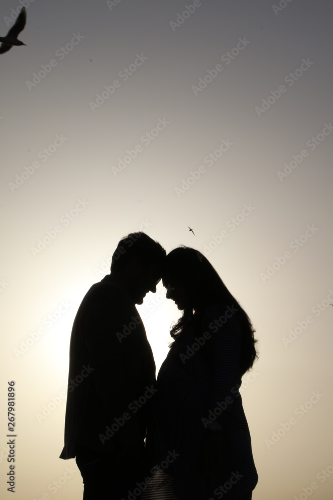 silhouette, couple, love, woman, people, sunset, romance, kiss, romantic, young, two, white, shadow, black, kissing, lovers, boy, family, silhouettes, passion, happy, profile, men, illustration, adult