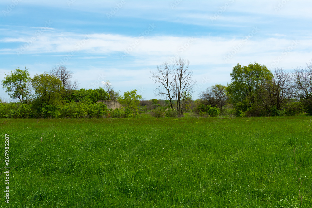 Fototapeta premium Grass field with bunker