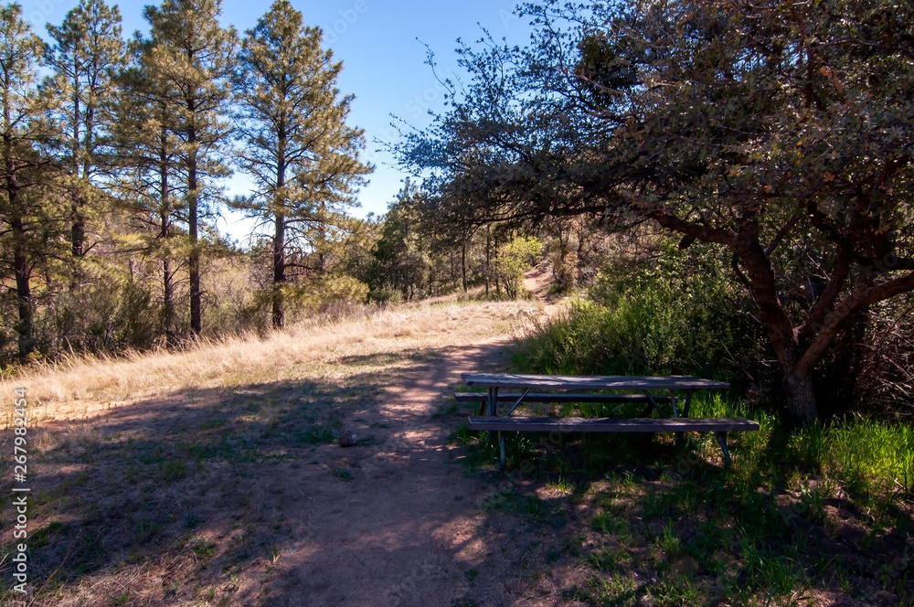 A picnic bench in the woods next to a dirt walking path in Arizona, USA in spring time
