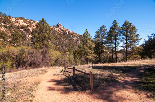 A wooden fence at a Y of dirt paths in the forest in Arizona, USA on a spring day
