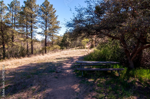 A picnic bench in the woods next to a dirt walking path in Arizona, USA in spring time