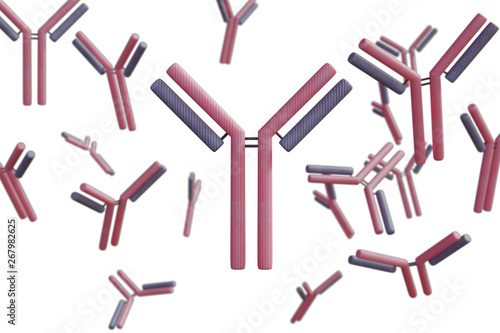 Floating antibodies on white background. 3D illustration photo