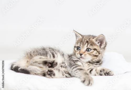 Baby kitten lying on a pillow at home © Ermolaev Alexandr