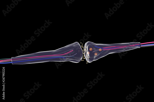 Nerve synapse on dark black background. 3d illustration. Junction of two neurons