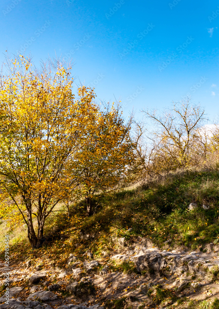 Fototapeta premium Beautiful autumn fall nature in Cremean mountains Chufut-Kale, Bakhchisaray, Crimea