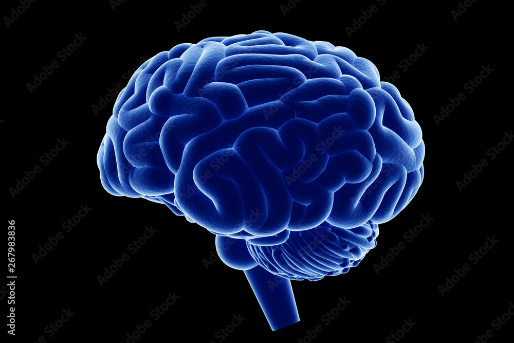Blue brain outline on black background. 3d illustration Blue brain outline on black background. 3d illustration