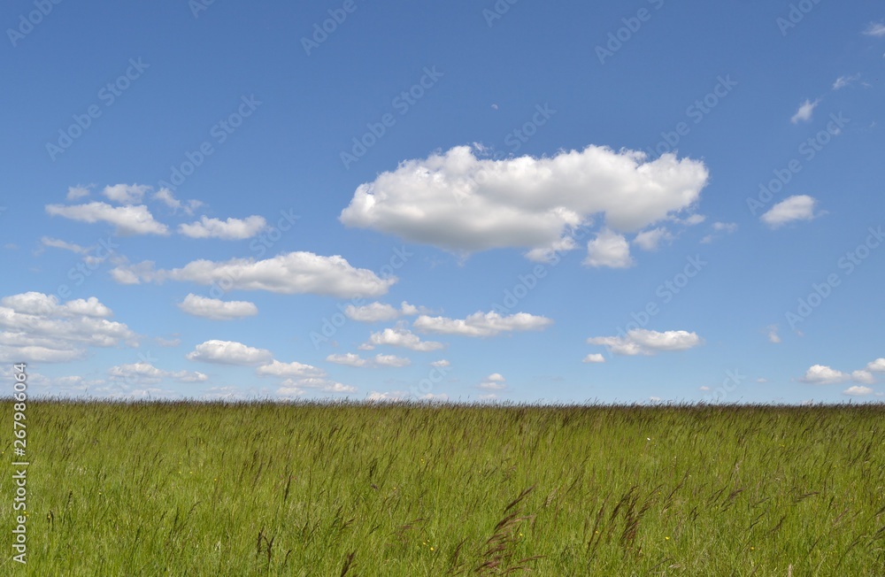 Joli paysage de campagne par beau temps