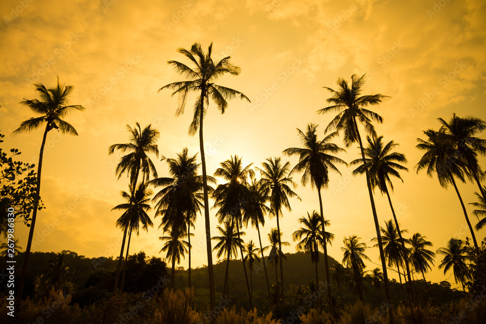 Beautiful silhouette coconut palm tree on the beach in golden sunset evening background. Travel tropical summer beach holiday vacation or save the earth, nature environmental concept. Beautiful silhouette coconut palm tree on the beach in golden sunset evening background. Travel tropical summer beach holiday vacation or save the earth, nature environmental concept.