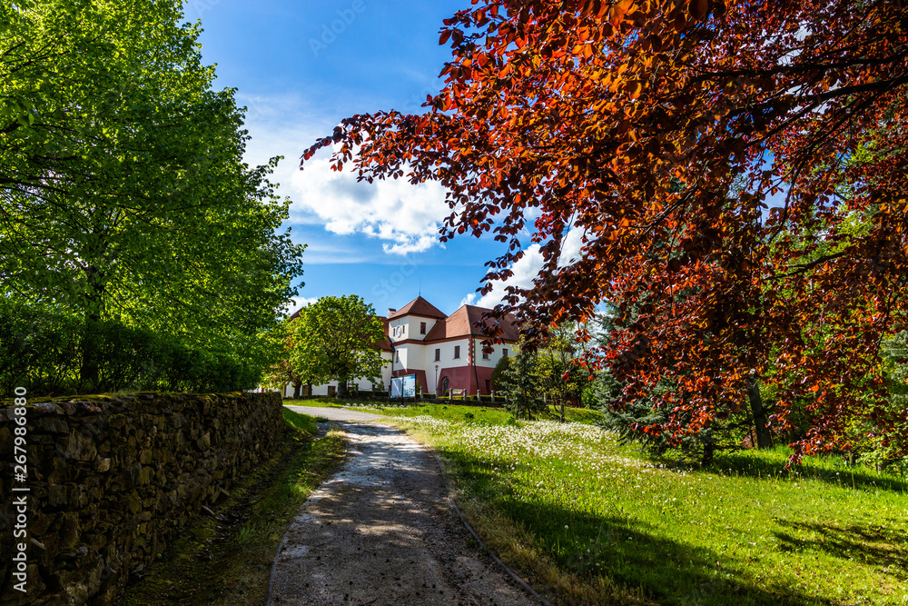 Obraz premium Castle Vysoky Hradek near Temelin in summer day. Czech Republic.