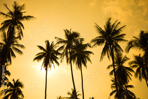 Beautiful silhouette coconut palm tree on the beach in golden sunset evening background. Travel tropical summer beach holiday vacation or save the earth, nature environmental concept.