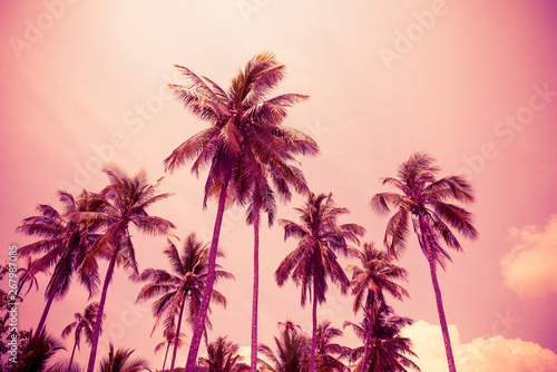 Beautiful silhouette coconut palm tree with clouds sky background in monochrome tone. Travel tropical summer beach holiday vacation or save the earth, nature environmental concept.