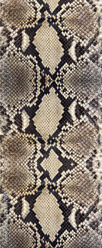Seamless snake skin texture. Fashion for tropical reptiles. Genuine Python skin. Black grey background.