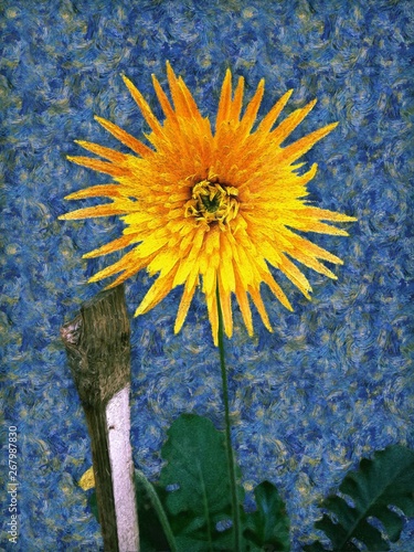 A painting of yellow colour Barberton daisy in the style of post-impressionist painter Vincent van Gogh. Also, known as Gerbera jamesonii, Transvaal daisy and Barbertonse madeliefie.