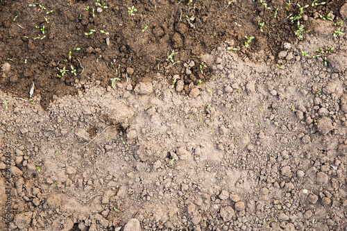 Texture of the ground ready for planting