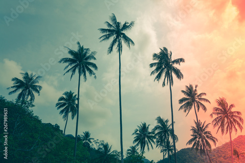 Beautiful silhouette coconut palm tree forest with clouds sky background color tone and light leak effect. Travel tropical summer beach holiday vacation or save the earth  nature environmental concept