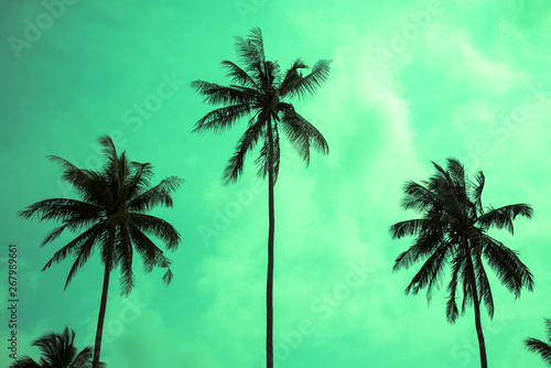 Beautiful silhouette coconut palm tree forest in sunshine day background monochrome tone. Travel tropical summer beach holiday vacation or save the earth  nature environmental concept.
