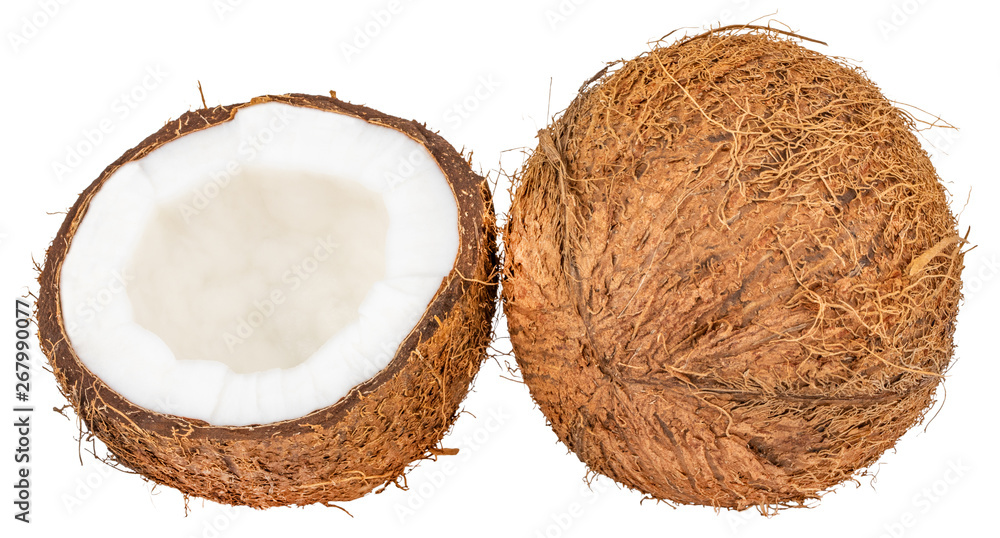 coconuts isolated on the white background with clipping path coconuts isolated on the white background with clipping path