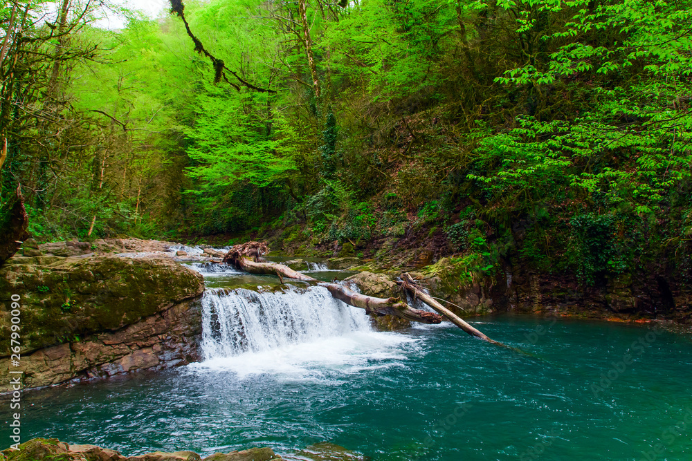 beautiful deep forest waterfall flowing in national park beautiful deep forest waterfall flowing in national park