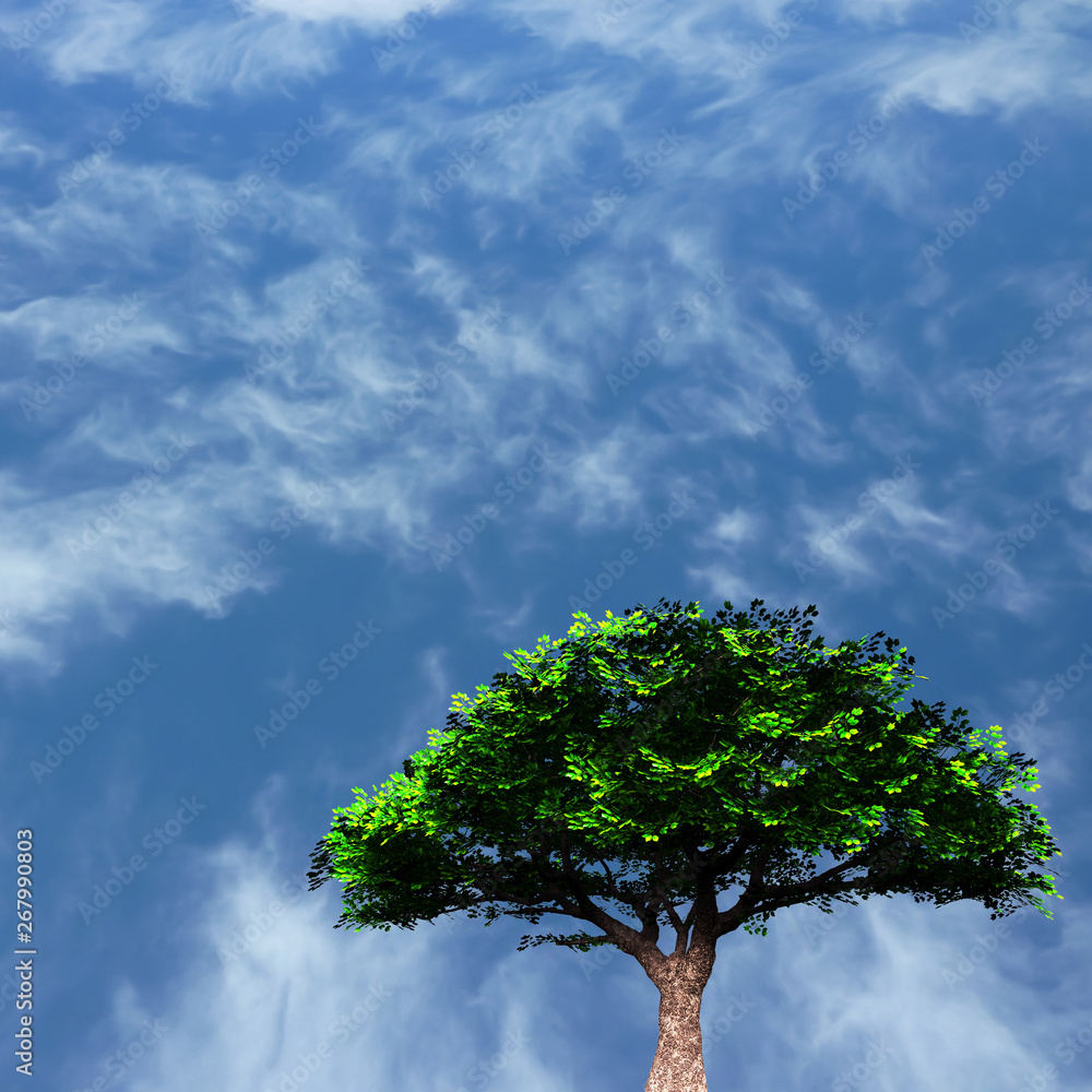 Green tree Green tree