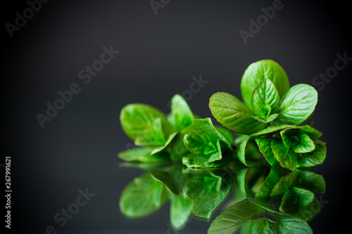 bunch of fresh green mint on black background
