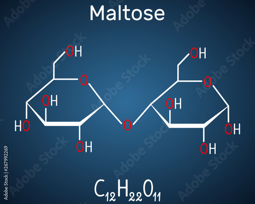 Maltose, malt sugar molecule, is a disaccharide. Structural chemical formula on the dark blue background
