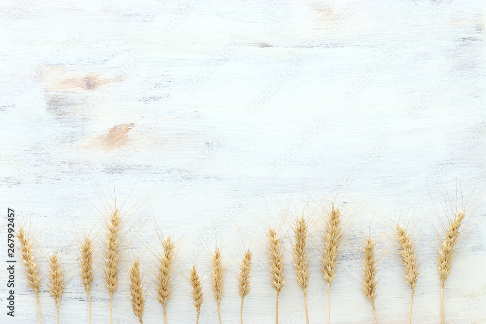 Fototapeta premium top view of wheat crops over white wooden background. Symbols of jewish holiday - Shavuot