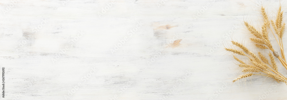 top view of wheat crops over white wooden background. Symbols of jewish holiday - Shavuot - obrazy, fototapety, plakaty 
