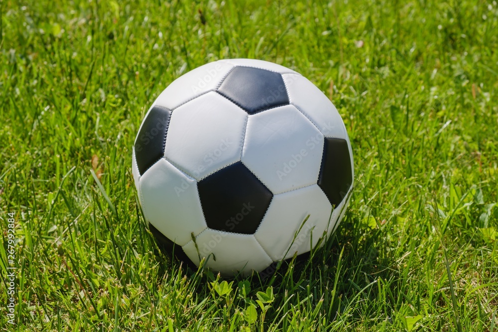 Obraz premium ball field football grass soccer. fun.