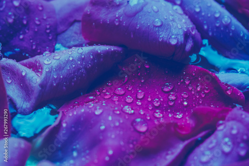 Trendy color ultra violet c...