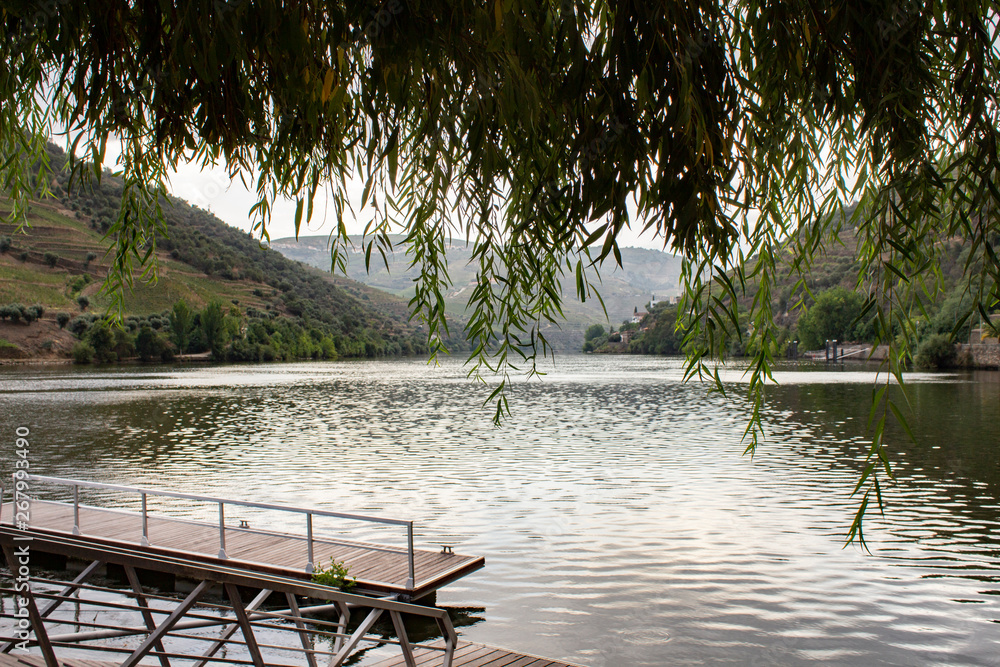 Pinhao, Douro Region in northern Portugal