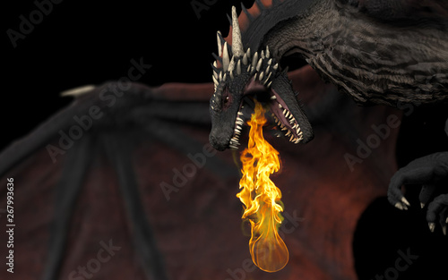 Obraz na płótnie Dragon side and close up view with fire flame throwing black background isolated