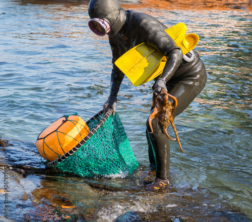 Haenyeo Women Diver Show to collect seaweed, shellfish and other seafood at Seongsan Ilchulbong, Jeju Island, South Korea.