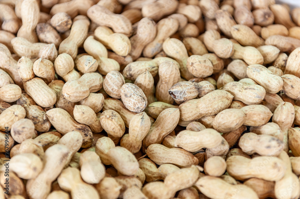 Jumbo raw peanuts in shell sold in shuk Levinsky market, Tel Aviv, Israel Jumbo raw peanuts in shell sold in shuk Levinsky market, Tel Aviv, Israel