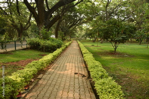 Fototapeta Naklejka Na Ścianę i Meble -  Sri Chamarajendra Park (Cubbon Park), Bangalore, Karnataka