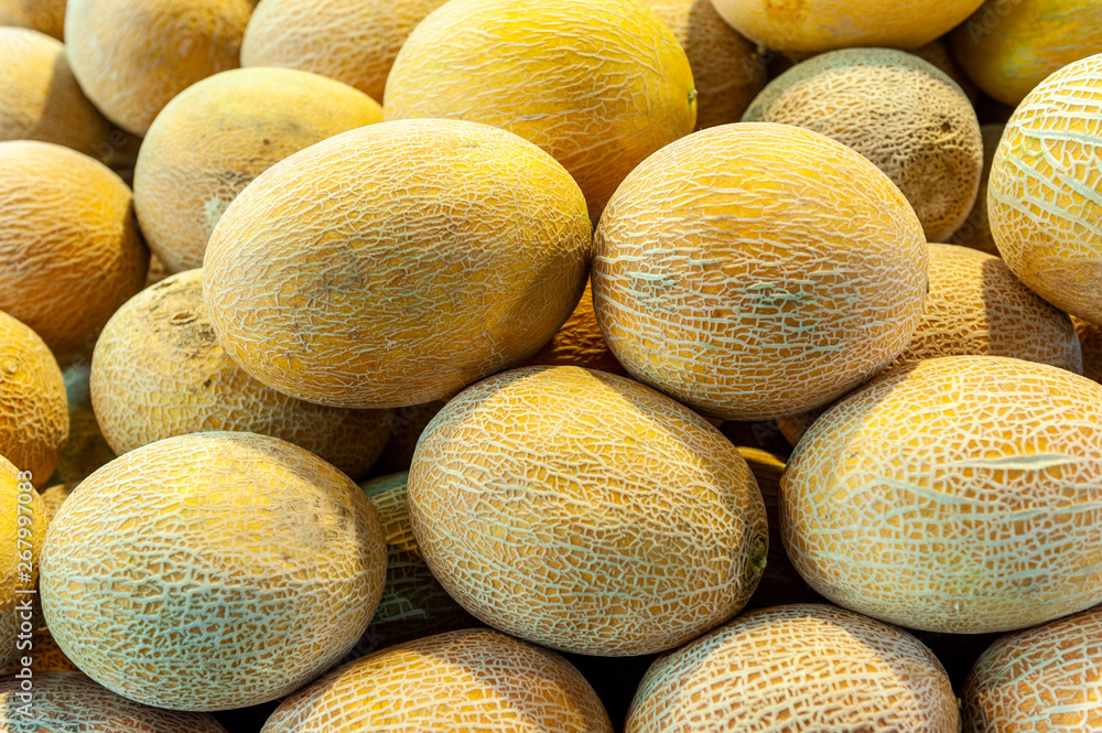 Melons sold in Shuk Hacarmel market, Tel Aviv, Israel Melons sold in Shuk Hacarmel market, Tel Aviv, Israel