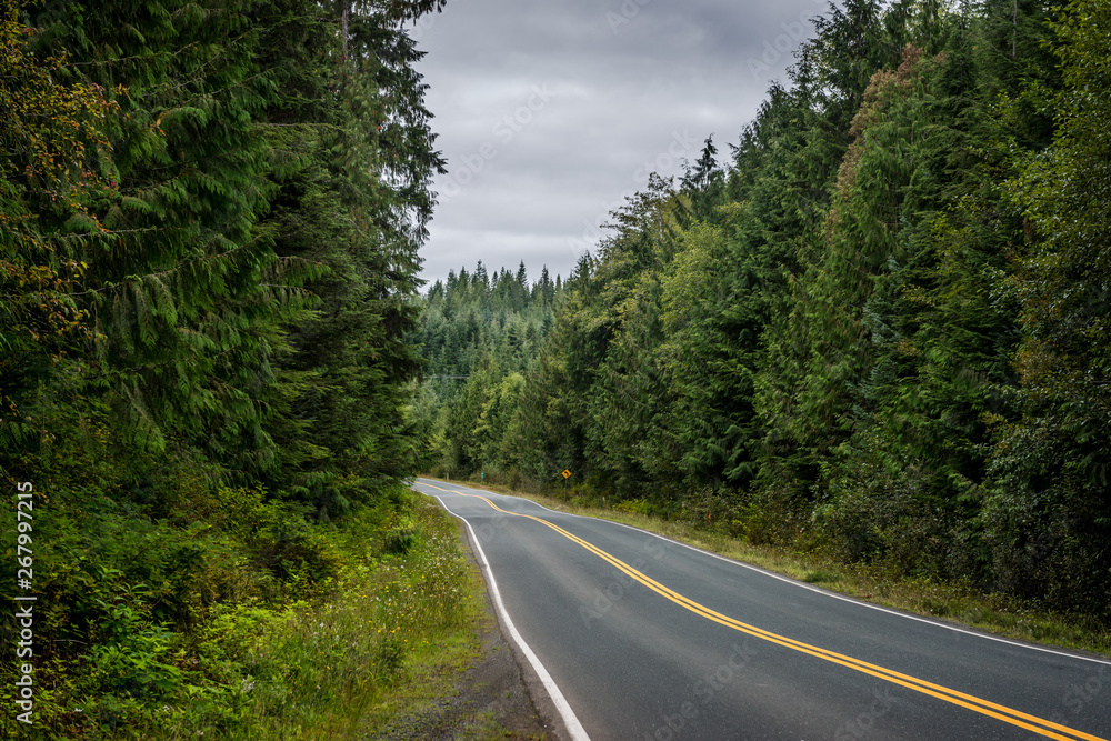 Fototapeta premium Country Road