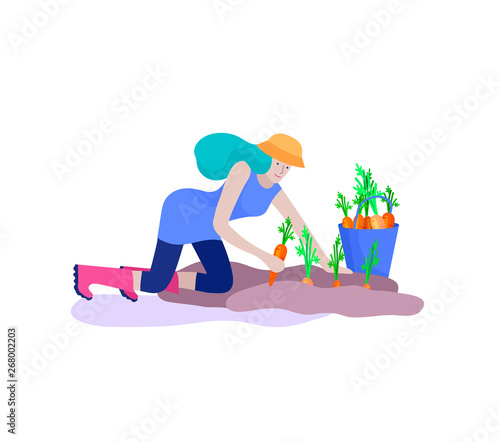 Harvesting and gardening people, woman doing farming and garden job, remove weeds, watering, planting, lay ripe vegetables to box. Reaping crop concept