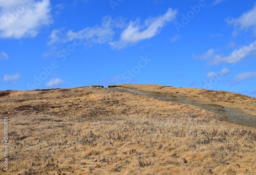 East Coast trail hiking path along the edge of the ocean 