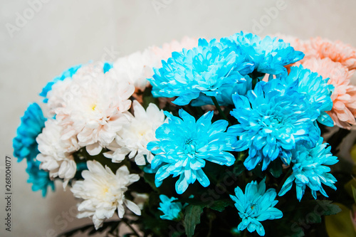 bouquet of white, blue and pink flowers