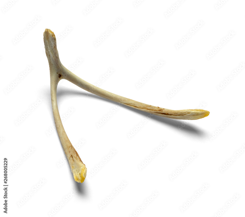 Small Wish Bone